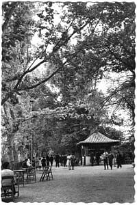 ALAMEDAS 5