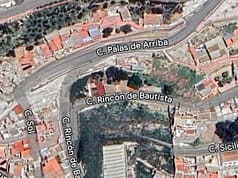 Como crear un bosque denso en el centro de Lorca en menos de una década