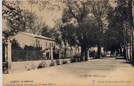 ALAMEDAS