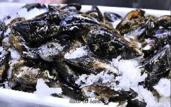 MEJILLONES