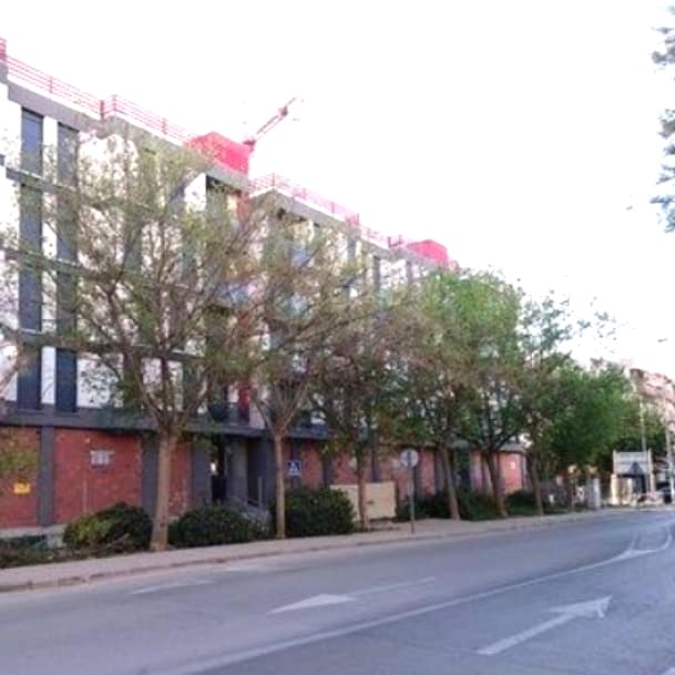 ARBOLES CORTADOS EN SAN FERNANDO