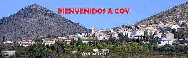 VISTA DE COY