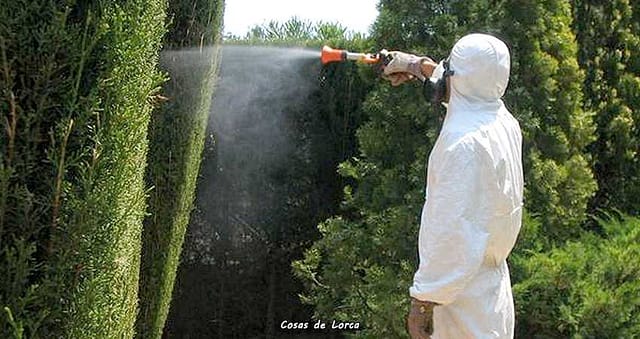 TRATAMIENTO FITOSANITARIO