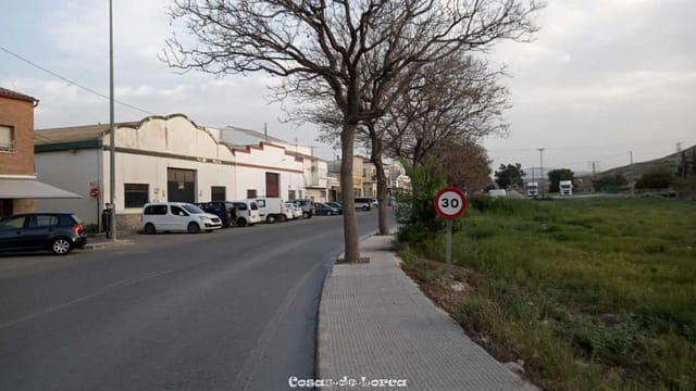 CARRETERA DE CARAVACA CURVA OLCINA A 30