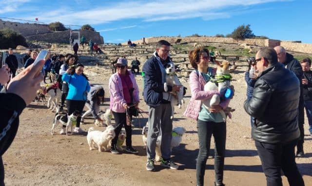 Lorca celebrará el Día de San Antón con una ruta canina al Castillo y la bendición de animales