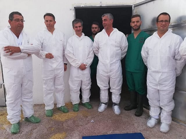 inseminacion artificial