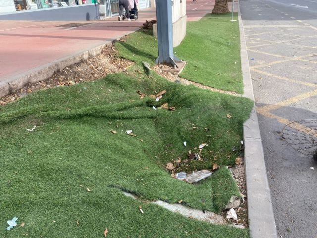 El PSOE exige el arreglo y adecuación de los parterres ubicados en la Avenida Adolfo Suárez en La Viña, de manera urgente2